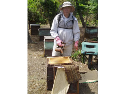 横田養蜂園